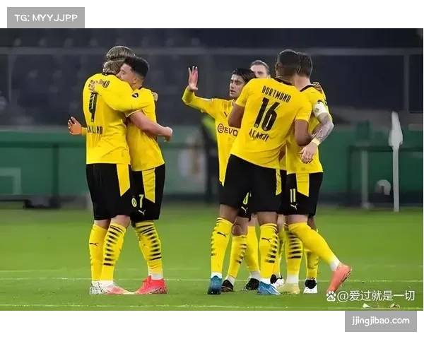 德甲球队欧冠表现分化 拜仁强势多特蒙德遭遇阻击